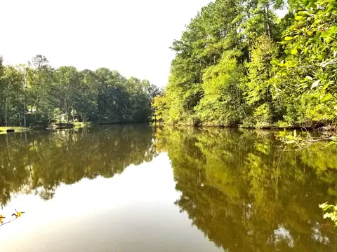 lot6 Row Boat Lane Row Boat Ln, Elloree, SC 29047 photo 10