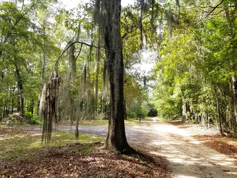 lot6 Row Boat Lane Row Boat Ln, Elloree, SC 29047 photo 8