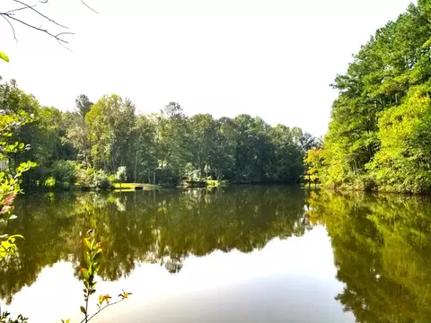 lot6 Row Boat Lane Row Boat Ln, Elloree, SC 29047 photo 11