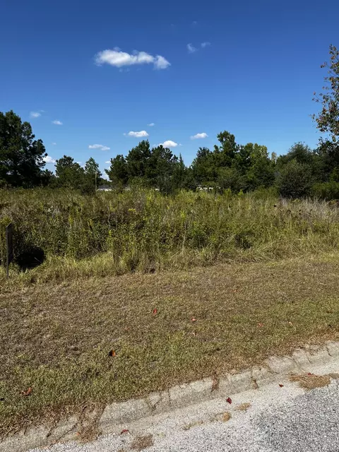 3435 Declaration Blvd, Sumter, SC 29154 photo 2