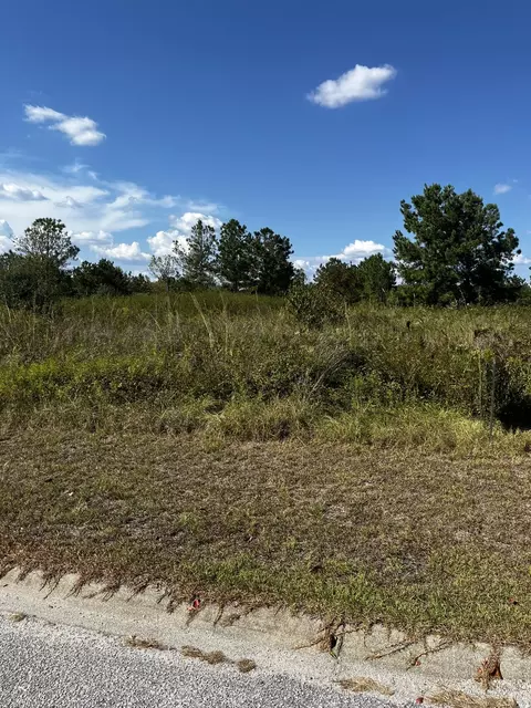 3435 Declaration Blvd, Sumter, SC 29154 photo 3