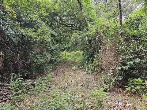 860 Lewis Rd, Sumter, SC 29154 photo 6
