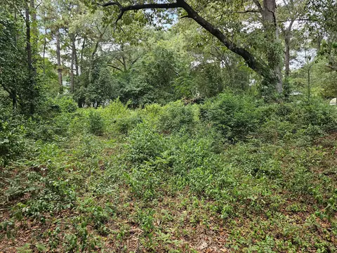 860 Lewis Rd, Sumter, SC 29154 photo 3