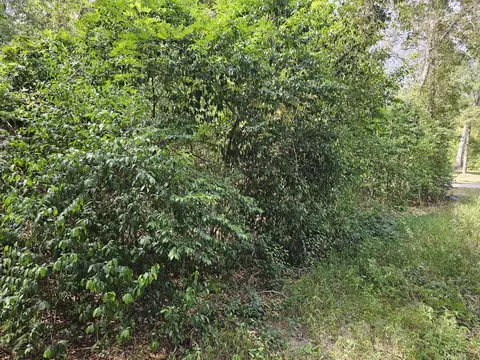 860 Lewis Rd, Sumter, SC 29154 photo 5