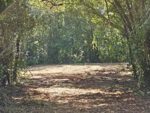 860 Lewis Rd, Sumter, SC 29154 photo 2