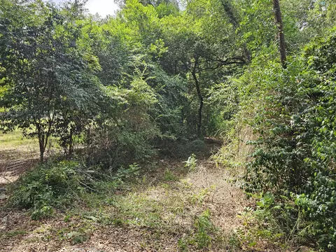 860 Lewis Rd, Sumter, SC 29154 photo 4