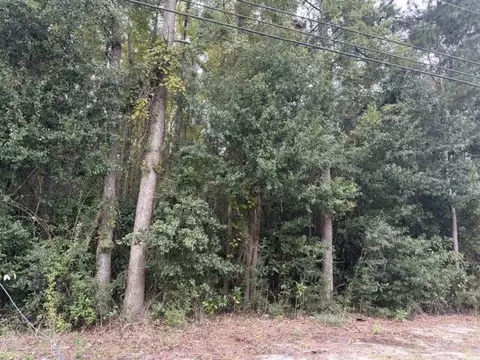 tbd W Huggins St, Manning, SC 29102 photo 2