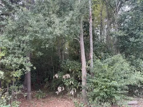 tbd W Huggins St, Manning, SC 29102 photo 4