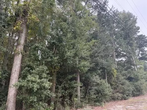 tbd W Huggins St, Manning, SC 29102 photo 5