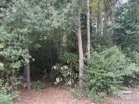 tbd W Huggins St, Manning, SC 29102 photo 3