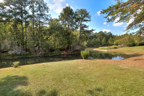 View/Area - 1069 Mckenzie Rd, Manning, SC 29102 photo 20 of 20