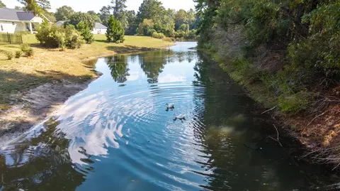 View/Area - 1069 Mckenzie Rd, Manning, SC 29102 photo 17 of 20