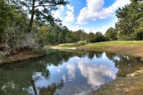 View/Area - 1069 Mckenzie Rd, Manning, SC 29102 photo 19 of 20