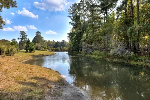 View/Area - 1069 Mckenzie Rd, Manning, SC 29102 photo 18 of 20