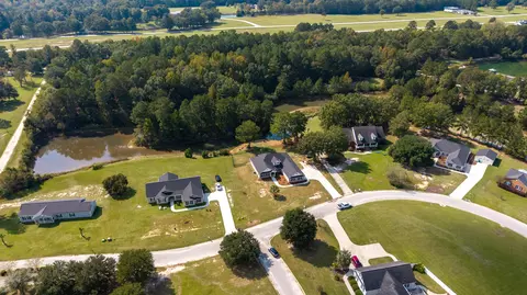 View/Area - 1069 Mckenzie Rd, Manning, SC 29102 photo 4 of 20