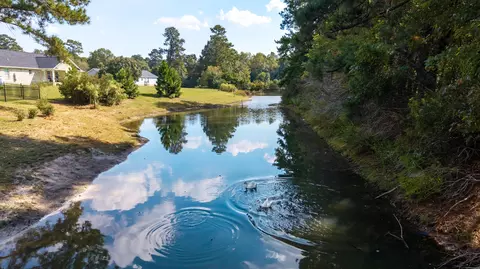 Other - 1069 Mckenzie Rd, Manning, SC 29102 photo 4 of 15