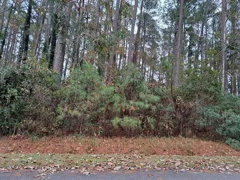01 Par Court Ct, Santee, SC 29142 photo 3