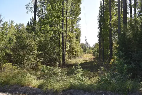 0000 Murdock Rd, Manning, SC 29102 photo 4