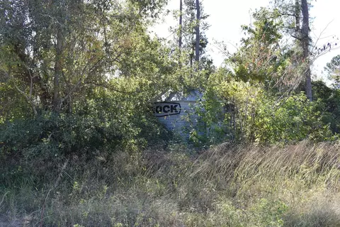 0000 Murdock Rd, Manning, SC 29102 photo 3