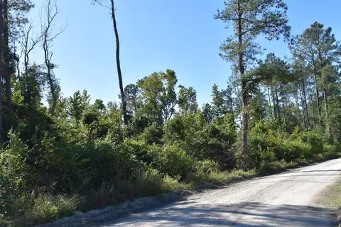 0000 Murdock Rd, Manning, SC 29102 photo 5