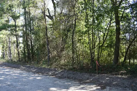 0000 Murdock Rd, Manning, SC 29102 photo 6