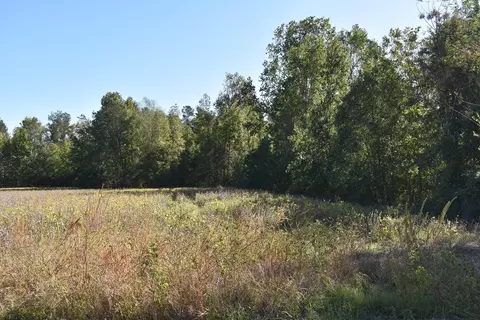 0000 Murdock Rd, Manning, SC 29102 photo 2
