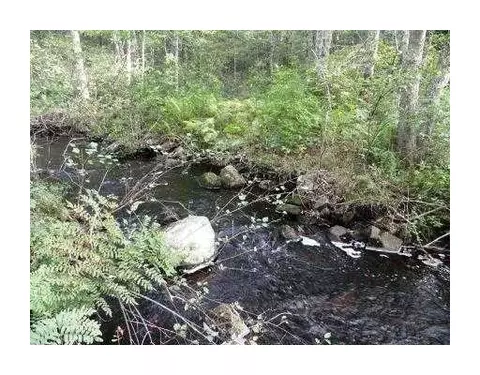 5530 Flat River Rd, Coventry, RI 02827 photo 13