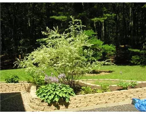54 Rustic Acres Dr, Glocester, RI 02814 photo 3