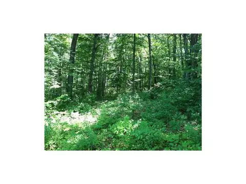 6 Pine Ter, Westerly, RI 02891 photo 1