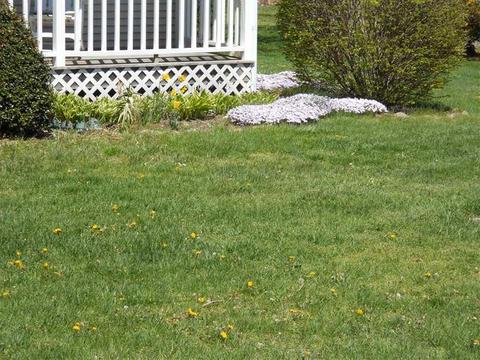 2 Lima Dr, Westerly, RI 02891 photo 13
