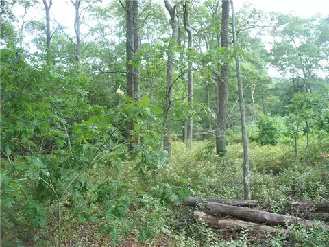 3 Fallon Trl, Westerly, RI 02891 photo 3