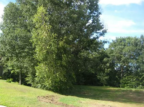 133 Springwater Dr, Woonsocket, RI 02895 photo 6