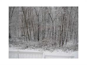 708 Maureen Cir, Mapleville, RI 02839 photo 25