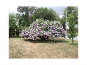 97 Sweet St, Warwick, RI 02889 photo 15