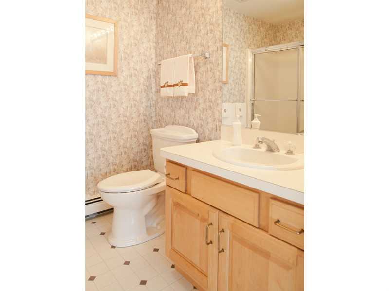 3 Birchtree Cir, Franklin, MA 02038 photo 20