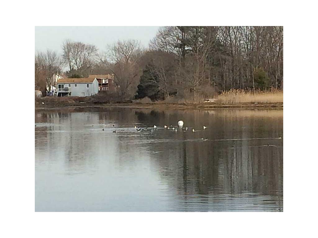 10 Guild Ave, Warwick, RI 02889 photo 12
