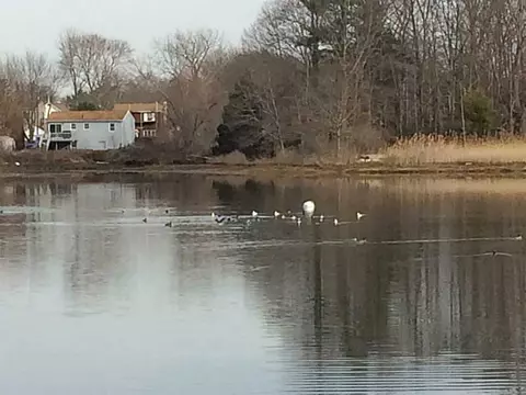 10 Guild Ave, Warwick, RI 02889 photo 12