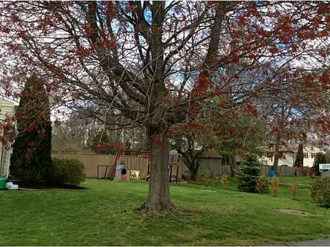 5 Centennial St, Coventry, RI 02816 photo 23