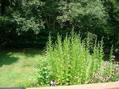 16 Lee St, Westerly, RI 02891 photo 13