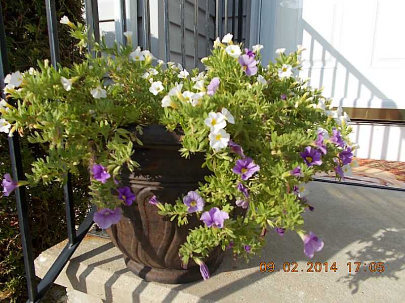 5239 N Main St, Fall River, MA 02720 photo 14