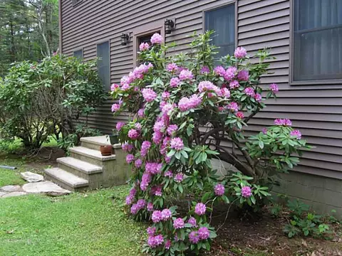 409 Widow Sweets Rd, Exeter, RI 02822 photo 19