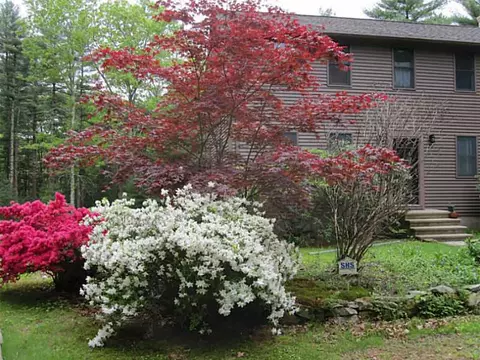 409 Widow Sweets Rd, Exeter, RI 02822 photo 20