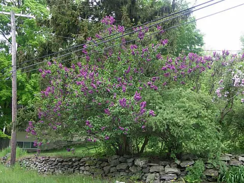 51 Plainfield Rd, CT 06354 photo 7
