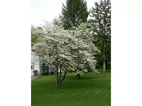 51 Plainfield Rd, CT 06354 photo 9
