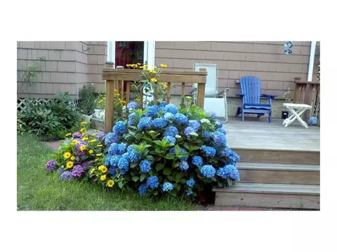20 Mayfair Rd, Warwick, RI 02888 photo 24