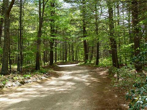 45 Tripps Corner Rd, Exeter, RI 02822 photo 25