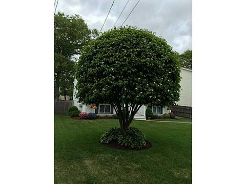 115 4th Ave, Warwick, RI 02888 photo 19
