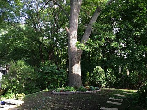 517 Killingly St, Providence, RI 02909 photo 23