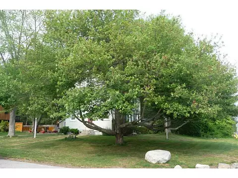 31 Argyle Ave, Riverside, RI 02915 photo 6