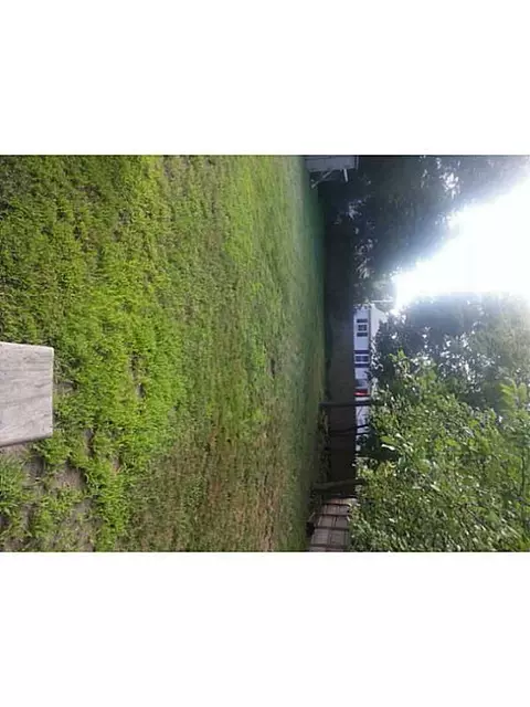 91 Glendale Ave, Warwick, RI 02889 photo 15